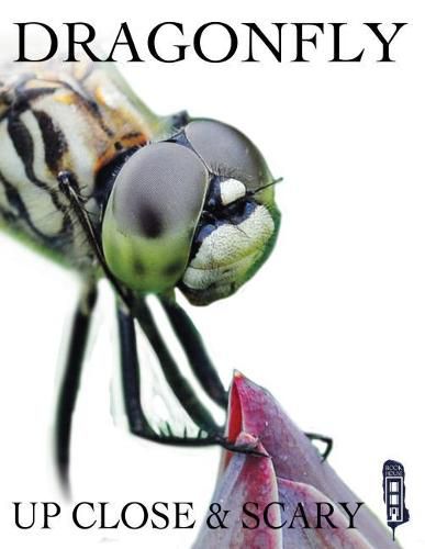 Cover image for Dragonfly