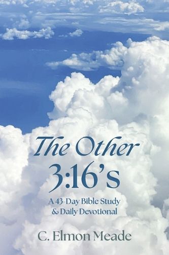 Cover image for The Other 3:16's