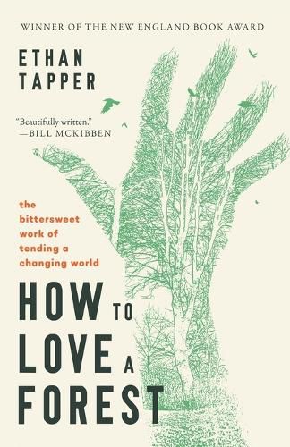 Cover image for How to Love a Forest