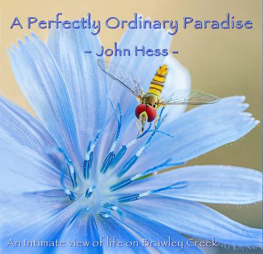 Cover image for A Perfectly Ordinary Paradise: An intimate view of life on Brawley Creek