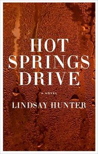 Cover image for Hot Springs Drive