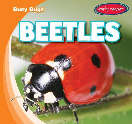 Cover image for Beetles