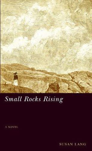 Cover image for Small Rocks Rising: A Novel