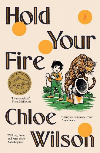 Cover image for Hold Your Fire