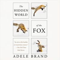 Cover image for The Hidden World of the Fox Lib/E