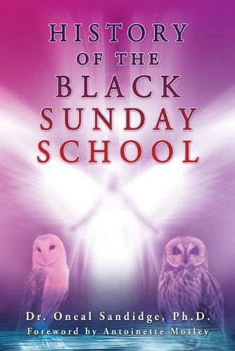 Cover image for History of the Black Sunday School