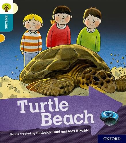 Cover image for Oxford Reading Tree Explore with Biff, Chip and Kipper: Oxford Level 9: Turtle Beach
