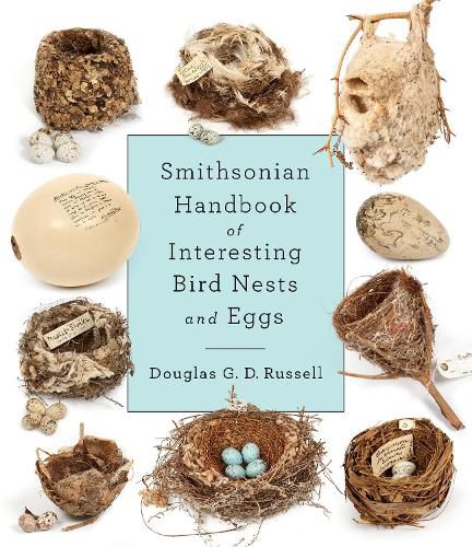 Smithsonian Handbook of Interesting Bird Nests and Eggs