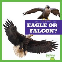 Cover image for Eagle or Falcon?