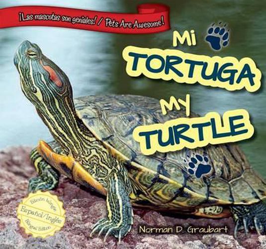 Cover image for Mi Tortuga/My Turtle