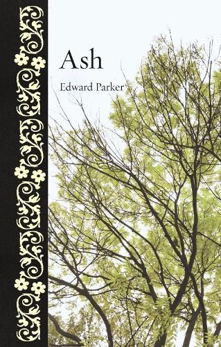 Cover image for Ash