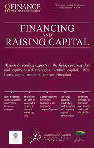 Cover image for Financing and Raising Capital