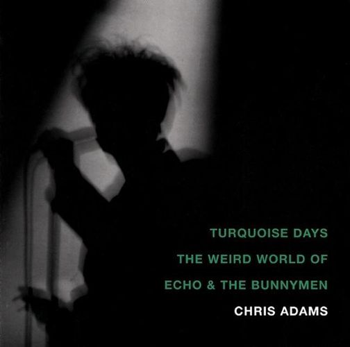 Cover image for Turquoise Days: The Weird World of Echo and the Bunnymen