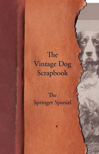 Cover image for The Vintage Dog Scrapbook - The Springer Spaniel