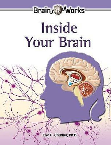 Cover image for Inside Your Brain