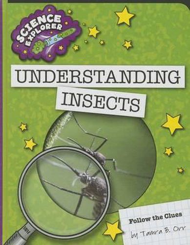 Cover image for Understanding Insects