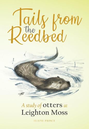 Cover image for Tails from the Reedbed: A study of otters at Leighton Moss