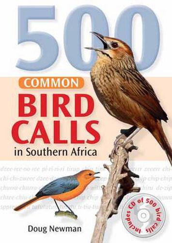 Cover image for 500 Common Bird Calls in Southern Africa