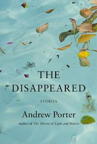 Cover image for The Disappeared: Stories