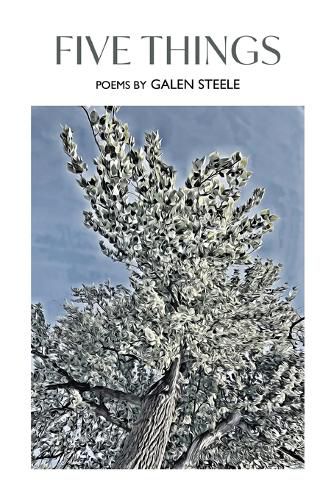 Cover image for Five Things