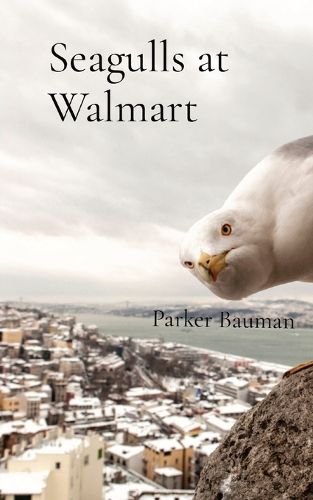 Cover image for Seagulls at Walmart