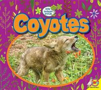 Cover image for Coyotes