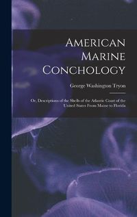 Cover image for American Marine Conchology