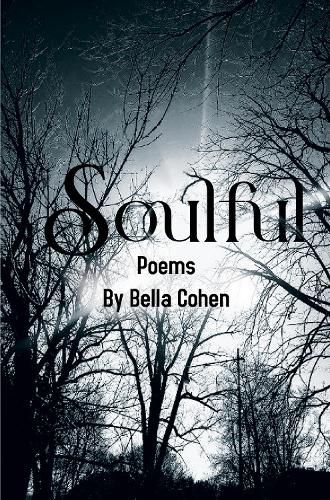 Cover image for Soulful