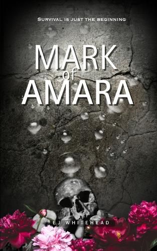 Cover image for Mark of Amara