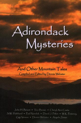 Cover image for Adirondack Mysteries