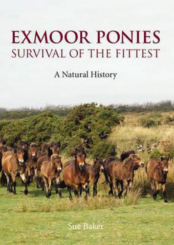 Cover image for Exmoor Ponies Survival of the Fittest: A Natural History