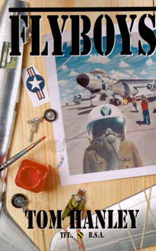 Cover image for Flyboys