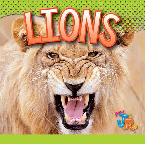 Cover image for Lions