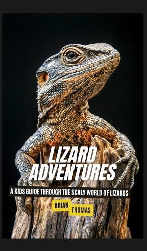 Cover image for Lizard Adventures