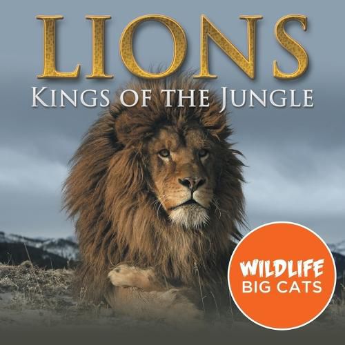 Cover image for Lions: Kings of the Jungle (Wildlife Big Cats)