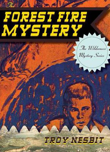 Cover image for The Forest Fire Mystery