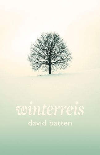 Cover image for Winterreis