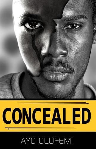 Cover image for Concealed