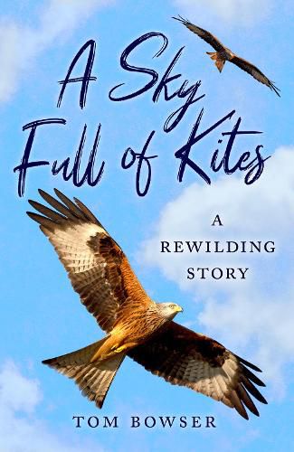 Cover image for A Sky Full of Kites: A Rewilding Story