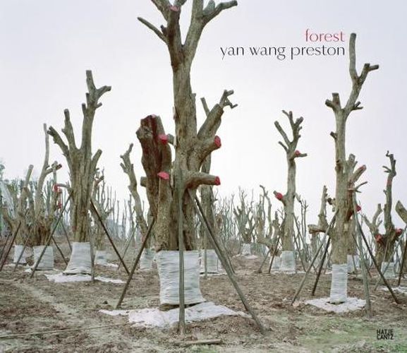 Cover image for Yan Wang Preston: Forest