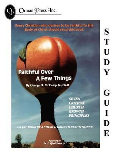 Cover image for Faithful Over a Few Things Study Guide