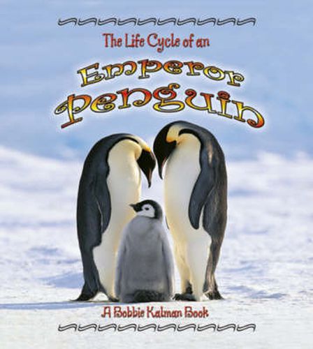 The Life Cycle of the Emperor Penguin