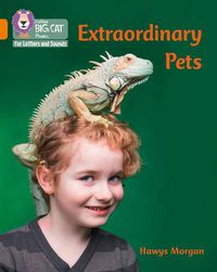 Cover image for Extraordinary Pets: Band 06/Orange