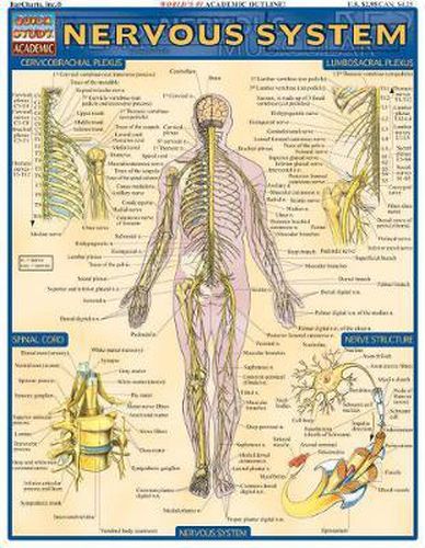 Cover image for Nervous System