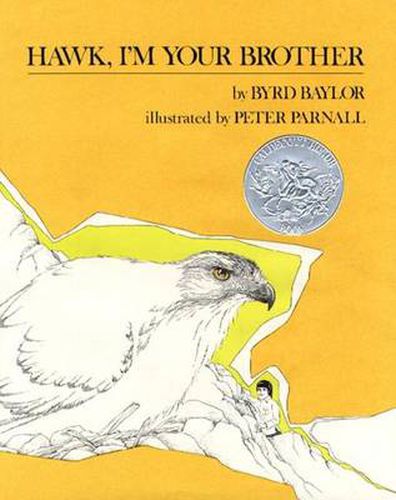 Cover image for Hawk, i'm Your Brother