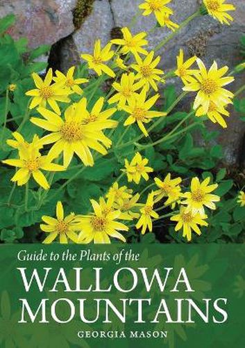 Cover image for Guide to the Plants of the Wallowa Mountains of Northeastern Oregon