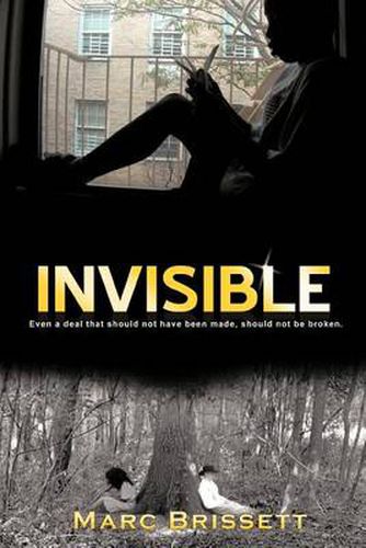 Cover image for Invisible