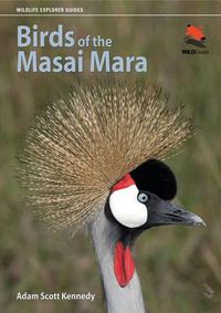 Cover image for Birds of the Masai Mara