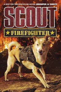 Cover image for Scout: Firefighter