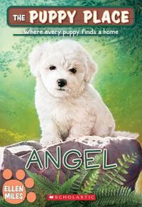 Cover image for Angel (the Puppy Place #46): Volume 46